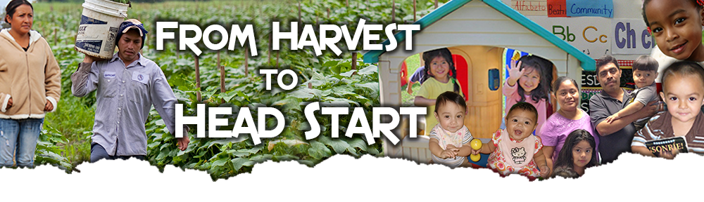 From Harvest to Head Start