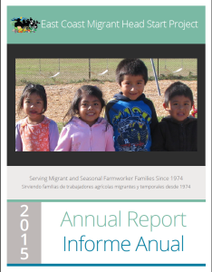 Cover of the 2015 Annual Report